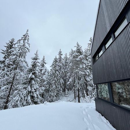 Chalet Dachstein Ramsau am Dachstein Exterior foto